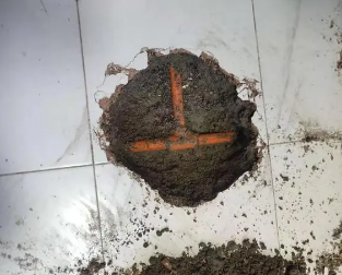 望奎查漏水多少钱