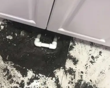 望奎查漏水哪家好